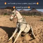 خيل للبيع الي يبيه ل الشتويه لا يفوته