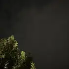 حساب ببجي