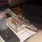 يده اربع فصلات هدرلك