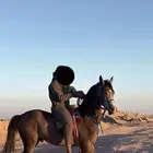مهر شعبي