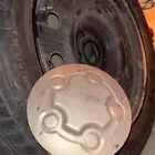 جنوط بوليسي