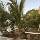 شاليه خليج سلمان