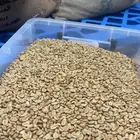 بن اخضر مختص قهوة خضراء