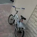 رامبو رمادي للبيع السوم 250