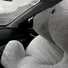 Large teddy bear
