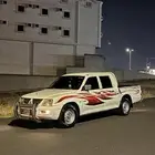 دعامه مستبيشي 2006