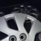 طيس اوبتيما