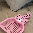 مستلزمات قطط