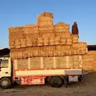 تبن بر صافي