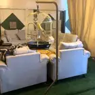 طيور حب.   قفص