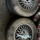 جنوط كرسيدا ( خليه )