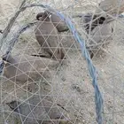 حجل