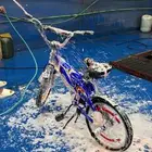 سيكل رامبو 20 الدفعه الاخيره الختم الذهبي