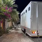عربه خيل متجه من مناطق الشرقيه الي الرياض