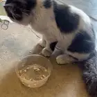 قطع الي يبيها