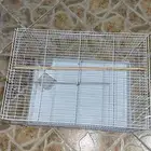 قفص عصافير أو قطط كلها تجي