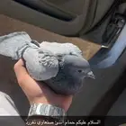 حمام صنعاني