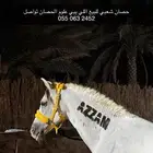حصان للبيع