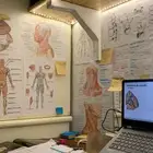 دراسة الطب البشري في قيرغيزستان