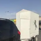 عربه نقل خيل جميع انحاء المملكه