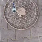 قرشعه على الطاقه الشمسيه