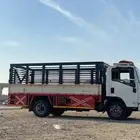 دينه دانه دينا