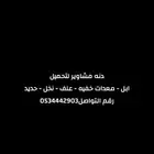 دنه مشاوير لتحميل