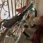رامبو صيني