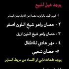 خيول للبيع اقساد او دفعات