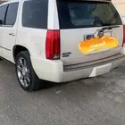 كدلك سكاليد دبل. قصير