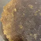 خليه نحل طلحة للبيع