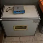 فقاسه رول 300 بيضه