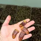 برني العيص