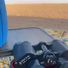 دربيل روسي