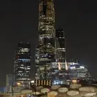 مطلوب جرو ذيب