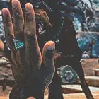 الجرف