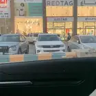 ابي شقة عزاب اليوم 800
