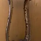 ديكور مدخل