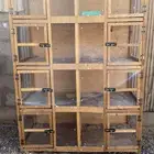 محكر ابو 8 خنات حمام