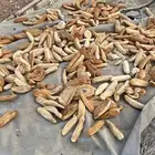 خبز ناشف مخلوط