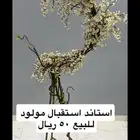 استاند