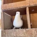 السلام عليكم ورحمة الله وبركاته بسمالله مشالله ذكر منتج