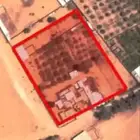 تخيل مثمره واشجار حمضيات للبيع