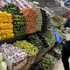 خضار