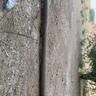 ماصورة سحب
