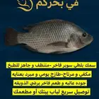 ذبايحكو   طازج  منظف  بلطي سوبر من البحر لمائدتك