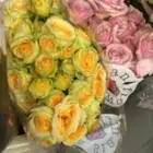 ورد بالجمله 27 ريال 10 حبات