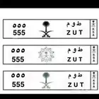 للبيع لوحه مميزه خصوصي ثلاثيه ط و م 555