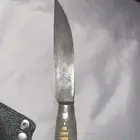 سكينه ام شوكه للبيع عالسوم