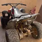 دباب للبيع نصيفف شرط